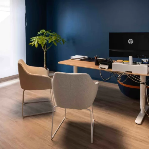 Bureaux MMA : décoration scandinave et apaisante