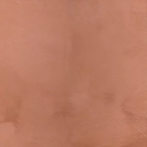La couleur terracotta en peinture : un éclat de chaleur et de authenticité