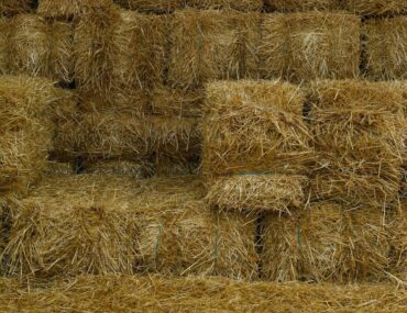 Isolant en paille : écologique, performant et local