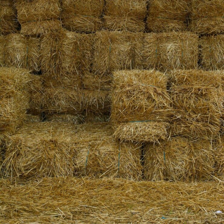 Isolant en paille : écologique, performant et local