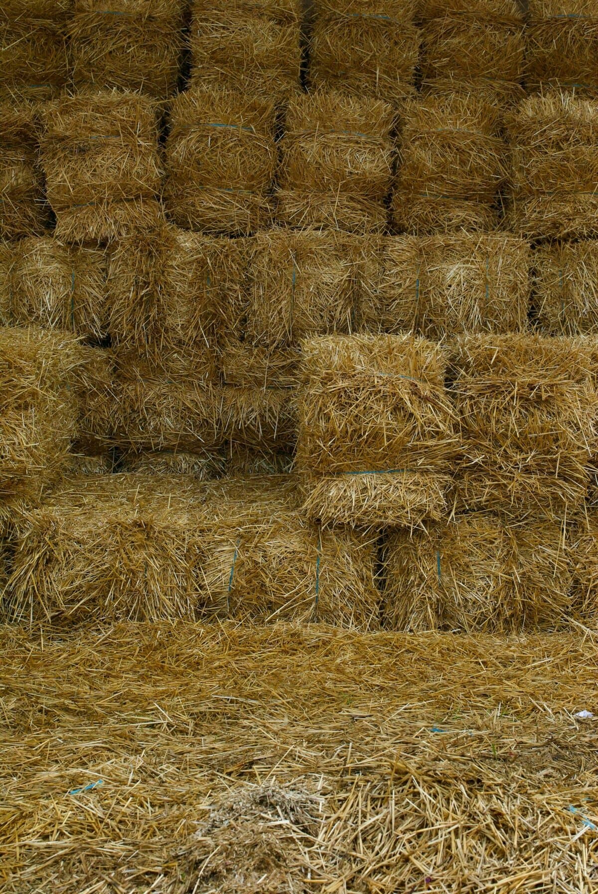 Isolant en paille : écologique, performant et local