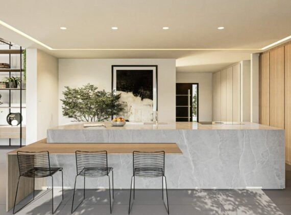 Extension avec cuisine haut de gamme à Mulhouse