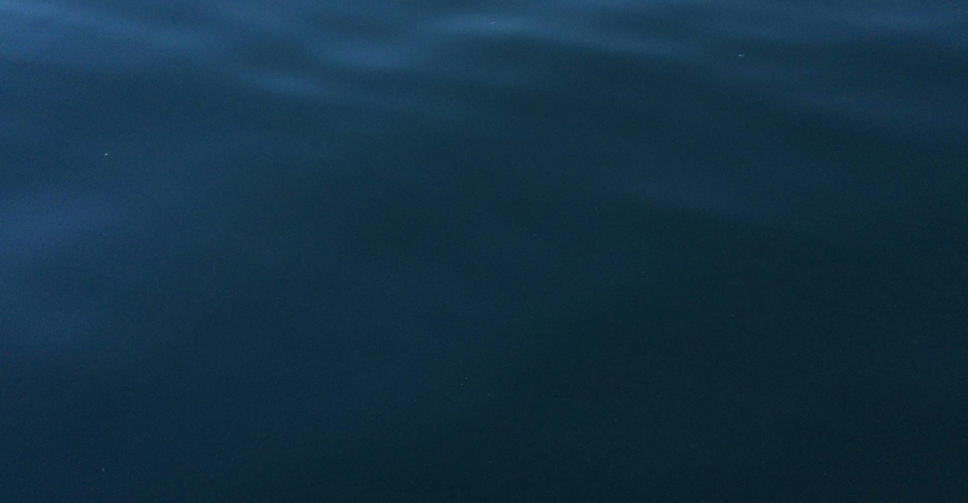 Le bleu profond : La couleur intense pour un intérieur sophistiqué