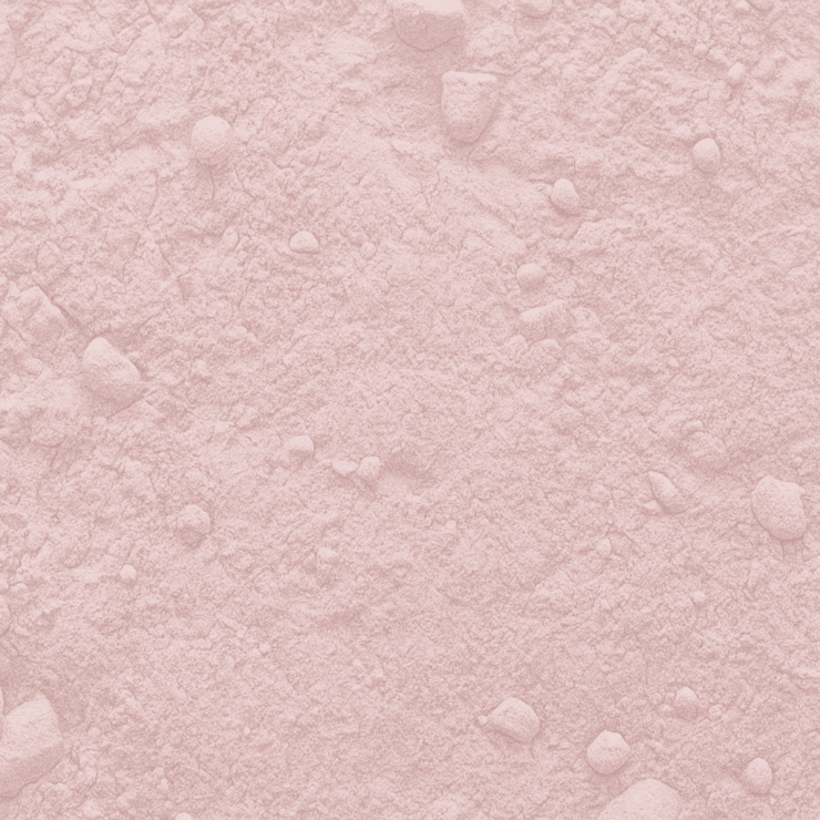 Le rose poudré : la peinture douce et sophistiquée