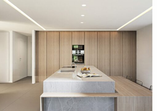 Extension avec cuisine haut de gamme à Mulhouse