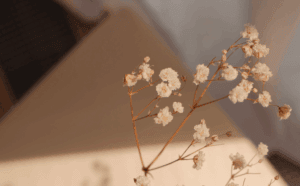 peinture couleur beige ynspir