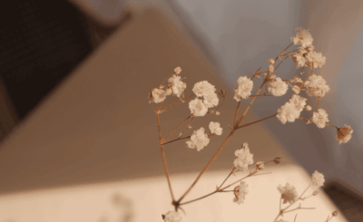 La couleur beige : chic, lumineuse et intemporelle !