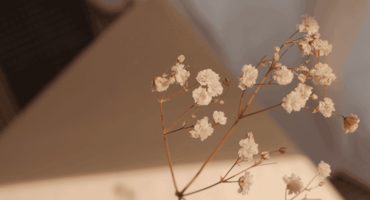 La couleur beige : chic, lumineuse et intemporelle !
