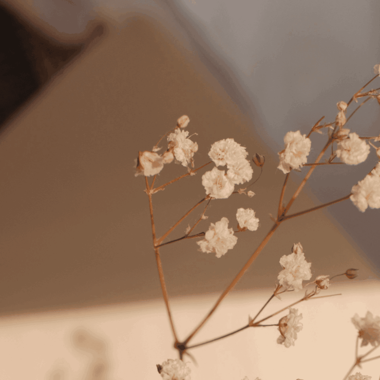 La couleur beige : chic, lumineuse et intemporelle !