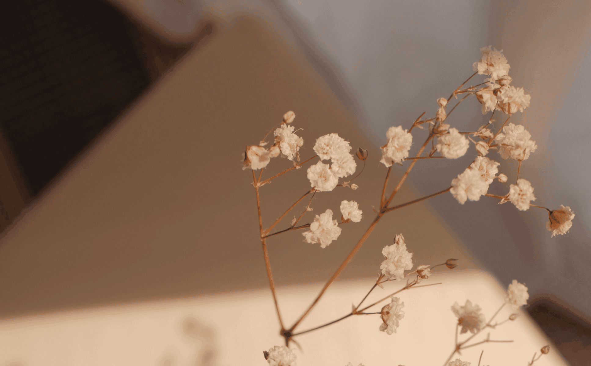 La couleur beige : chic, lumineuse et intemporelle !