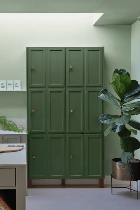 vert jungle de farrow