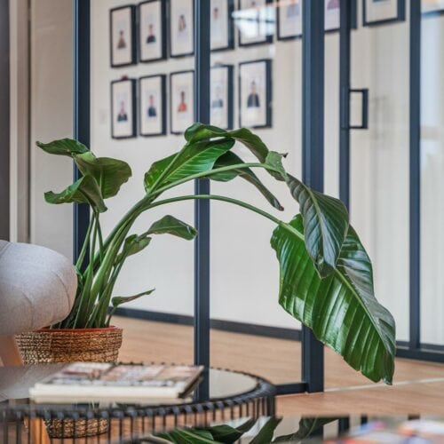 Décoration de bureaux professionnels près de Strasbourg