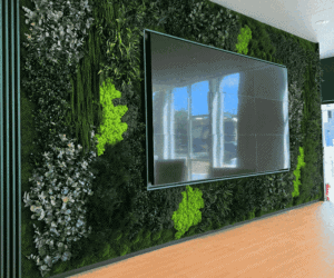 Mur végétal : un atout pour le design de vos bureaux