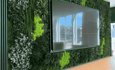Mur végétal : un atout pour le design de vos bureaux