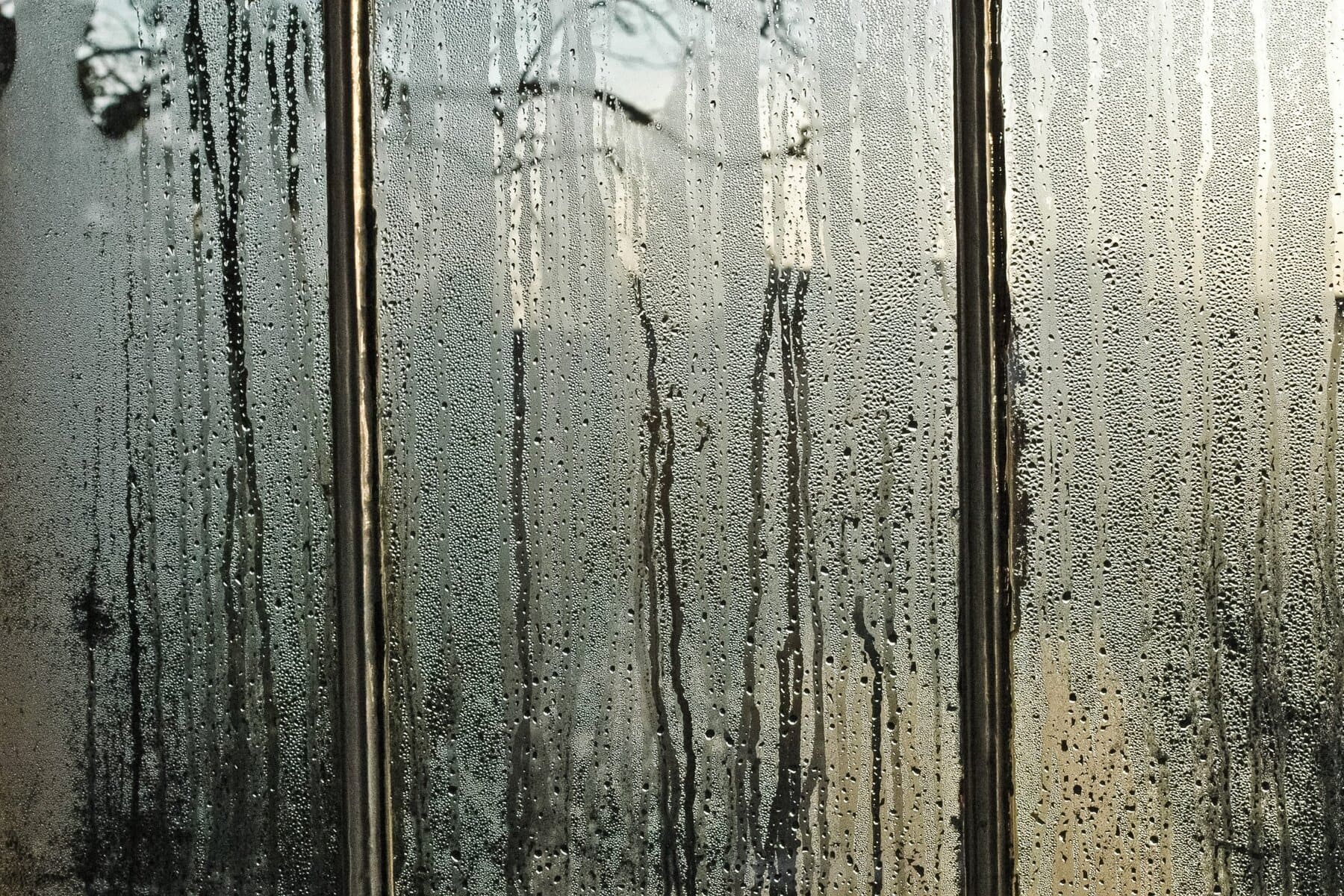 Stimuler créativité et bien-être grâce à un air sain chez soi