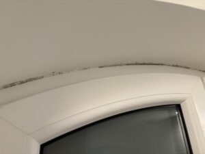 moisissure autour des fenêtres