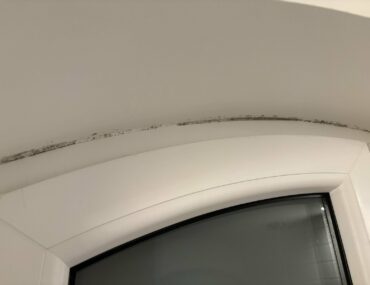 Que faire si j’ai de la moisissure autour des fenêtres ?