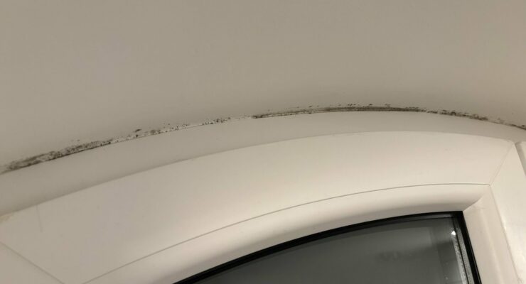 Que faire si j’ai de la moisissure autour des fenêtres ?