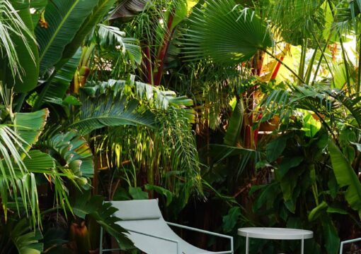 Rénovation colorée d’une maison des années 30 à Toulon