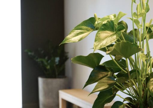 Transformation d’un cabinet d’orthodontie dans le Var