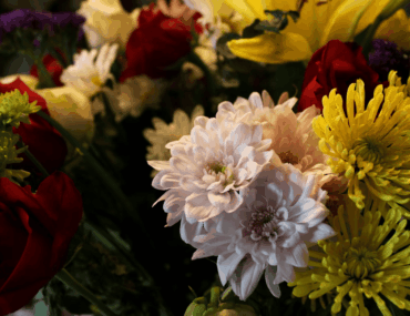 Livraison fleurs Reims : le bouquet qui illumine les intérieurs et inspire le quotidien