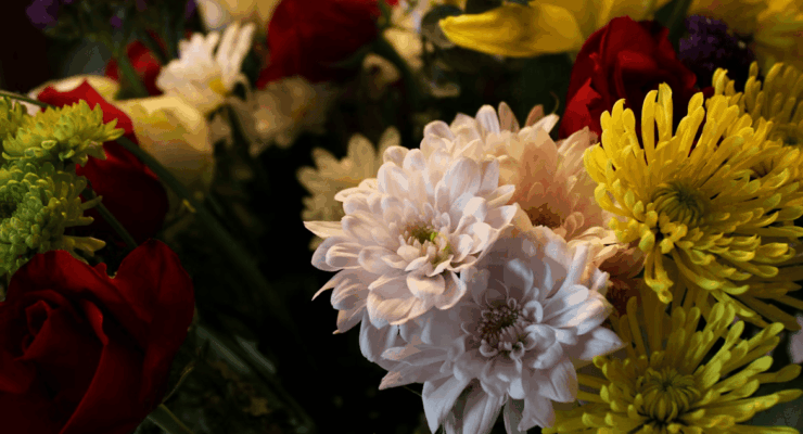 Livraison fleurs Reims : le bouquet qui illumine les intérieurs et inspire le quotidien