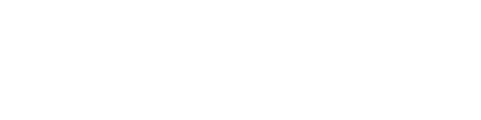 Ynspir