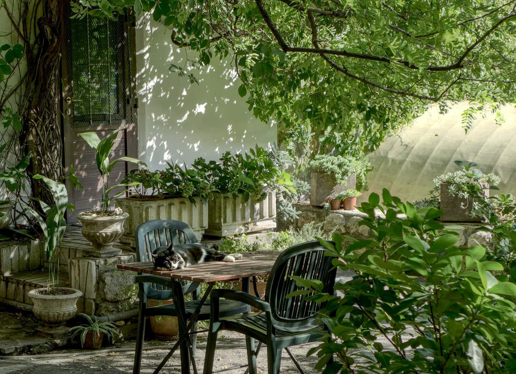 Table de jardin : comment choisir le bon format pour aménager son extérieur