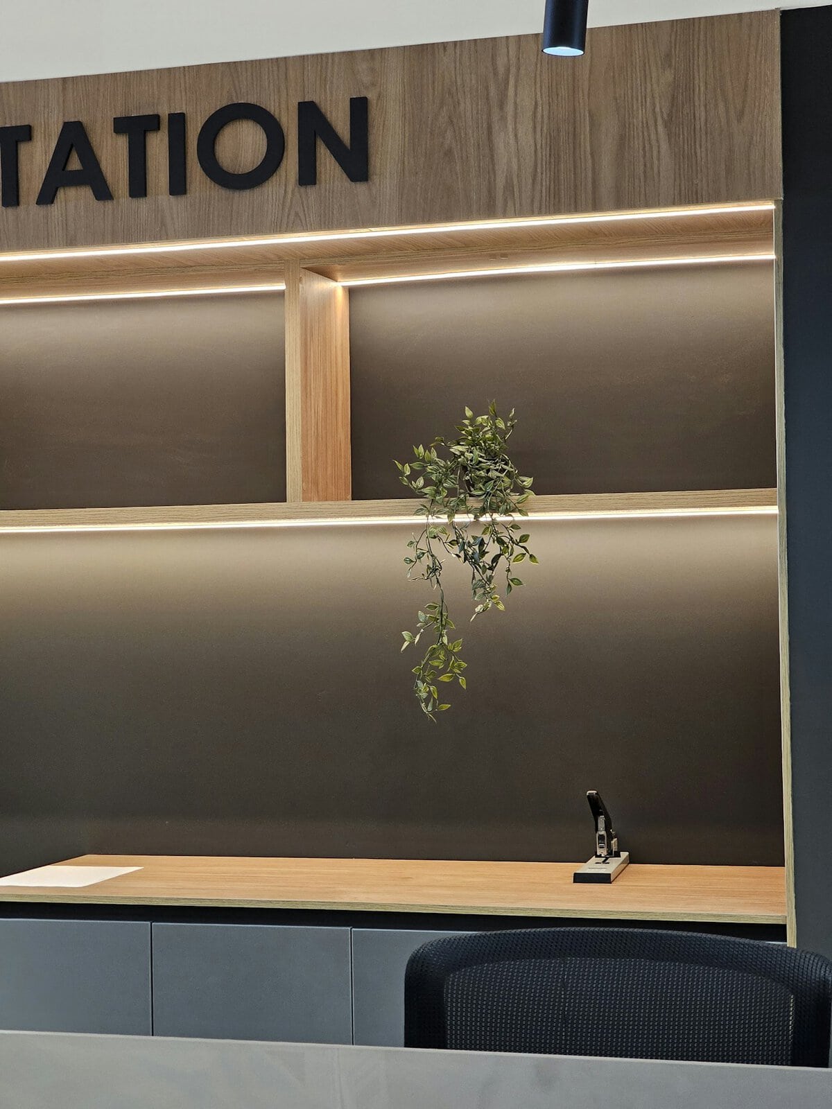 Modern reception desk with illuminated shelves and a hanging plant.