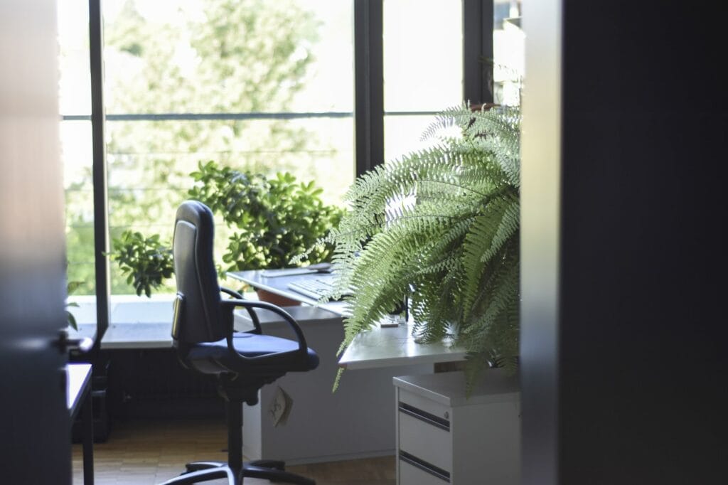 Idées déco pour un bureau professionnel : 15 pistes concrètes